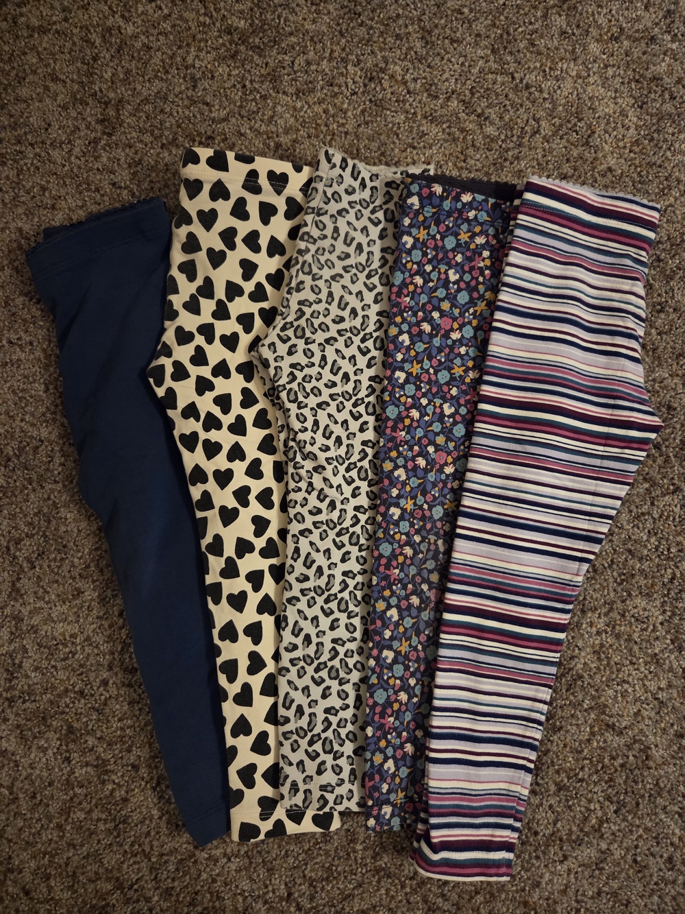 Tea Collection Girls' Navy, Cream, Black & Multicolor Patterned Leggings Set